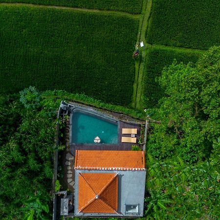 Jatining Ubud Villa & Spa Buitenkant foto