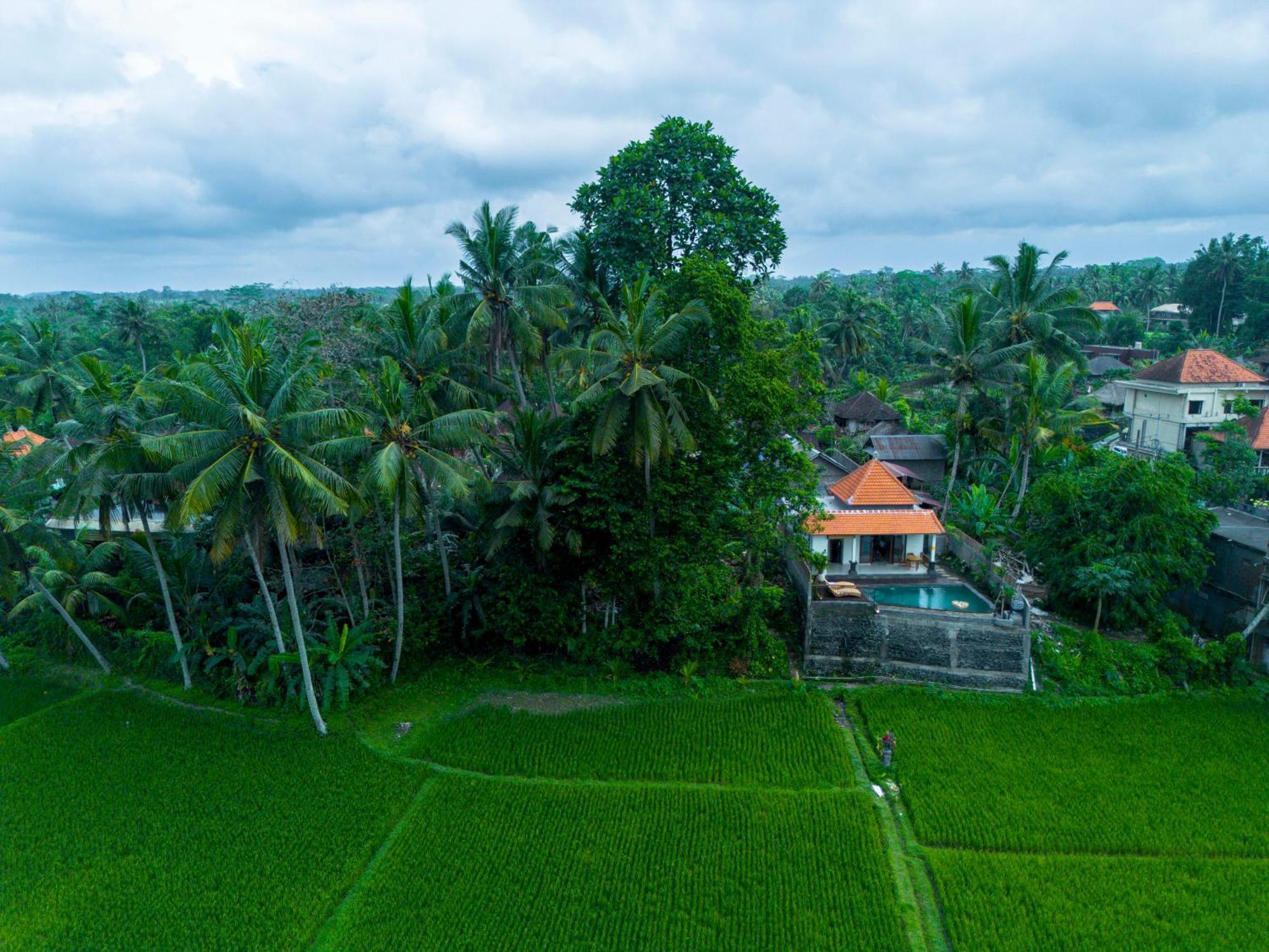 Jatining Ubud Villa & Spa Buitenkant foto